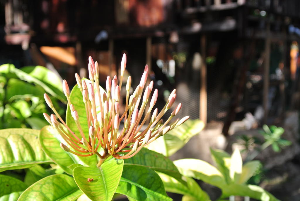 Koox City Garden Hotel Playa del Carmen Exterior photo